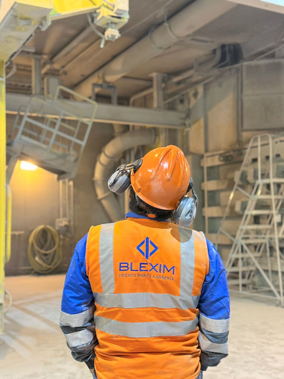 Colaborador de Blexim observando un equipo dentro de una planta de procesamiento